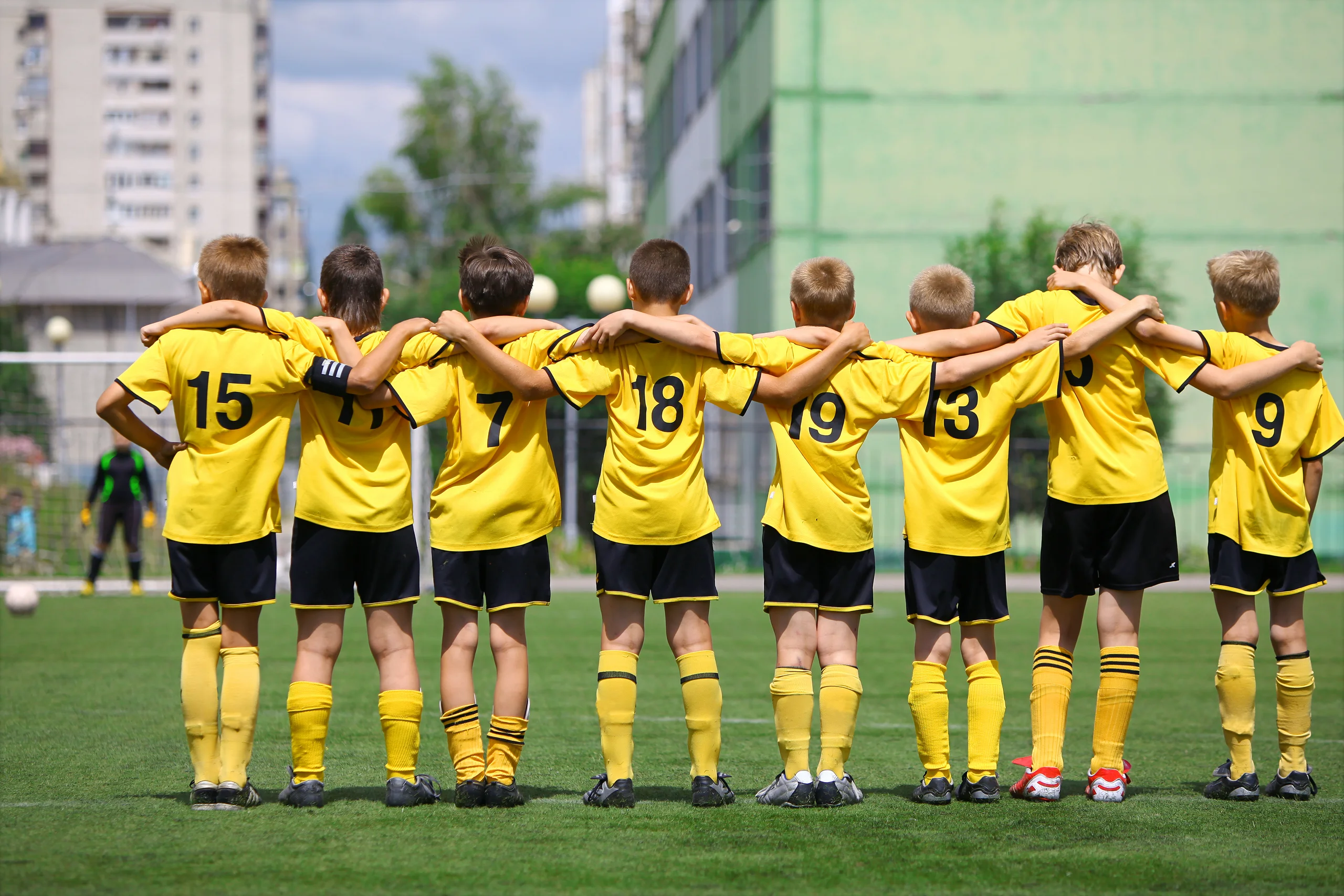 Referenz des Bitmotion Kunden DFB